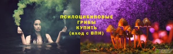 соль ск Армянск