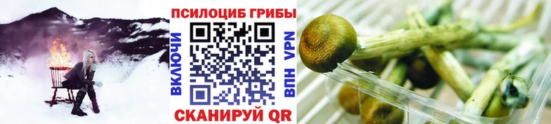 Галлюциногенные грибы мухоморы  Купить закладки  Сим 